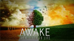 Awake From Death to Life PowerPoint_HDPP