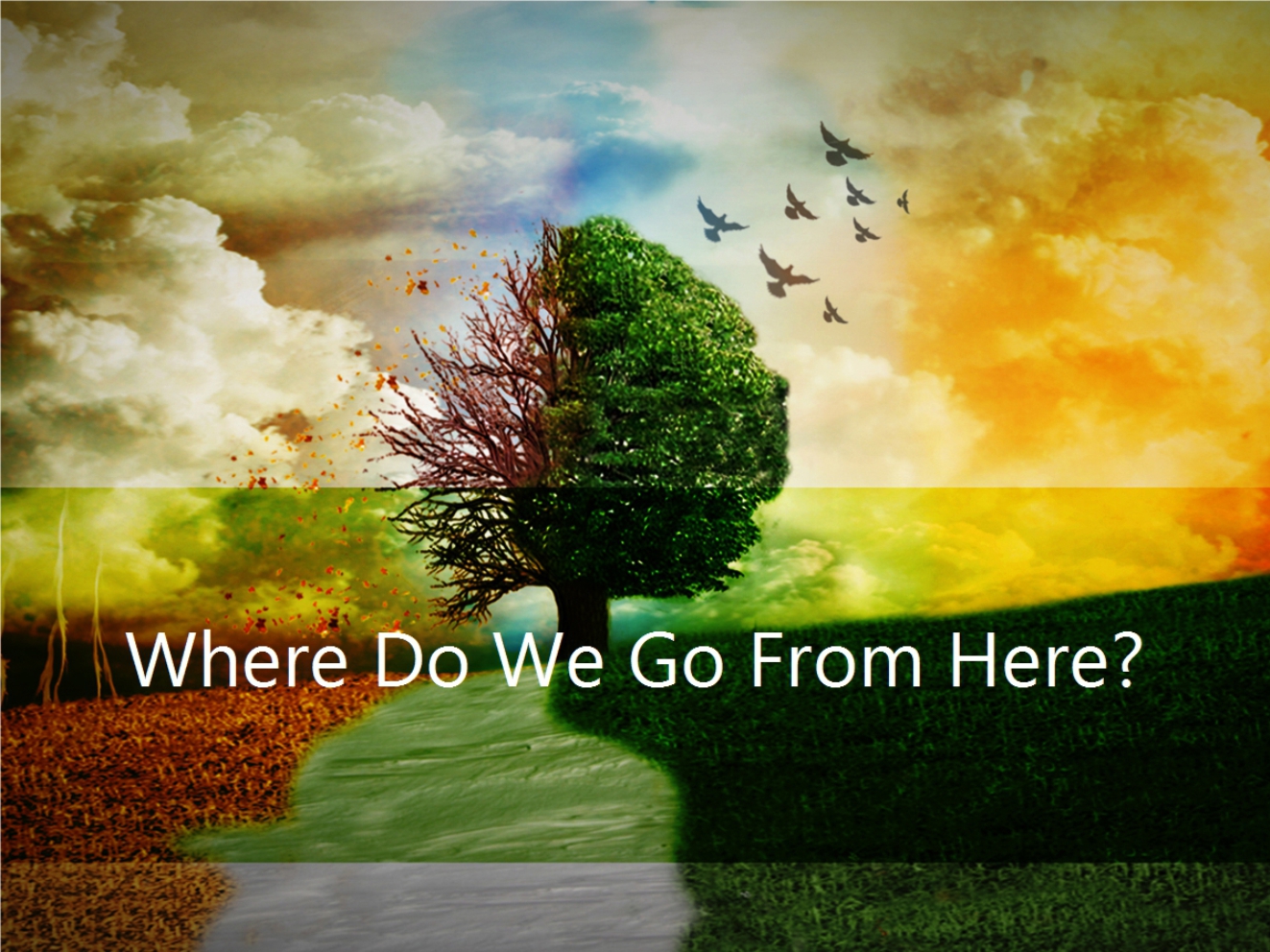Where-Do-We-Go-From-Here.jpg