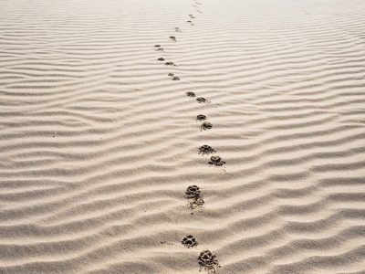 footprints on sand
